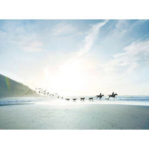 Umělecký tisk Conceptual shot of riders, dogs and birds on beach, Ezra Bailey, (40 x 30 cm)