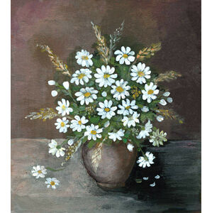 Ilustrace Daisy arrangement, mitza, (35 x 40 cm)