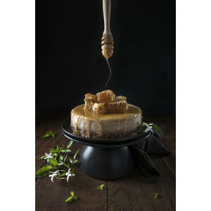 Umělecká fotografie Baklava cheesecake and honey comb, Diana Popescu, (26.7 x 40 cm)