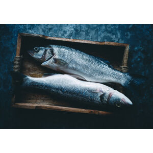Umělecká fotografie Two fishes, Aleksandrova Karina, (40 x 26.7 cm)
