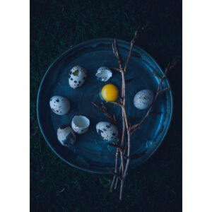 Umělecká fotografie Eggs, Aleksandrova Karina, (30 x 40 cm)