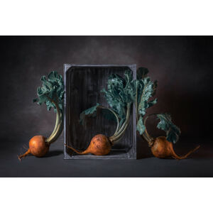 Umělecká fotografie Three Beets, Lydia Jacobs, (40 x 26.7 cm)