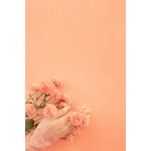 Umělecká fotografie Creative beauty flat lay of gentle, Ivanna Bond, (26.7 x 40 cm)