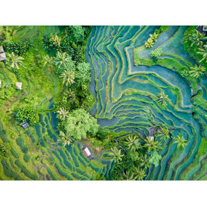 Umělecká fotografie Aerial view of Rice Terrace in Bali Indonesia, Travelstoxphoto, (40 x 30 cm)