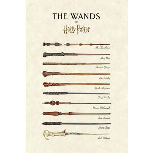 Umělecký tisk Harry Potter™ - The Wands, (26.7 x 40 cm)