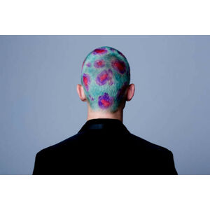 Umělecká fotografie Young man with dyed shot hair studio, Westend61, (40 x 26.7 cm)