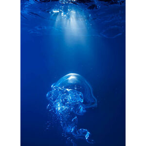 Umělecká fotografie Bubble on spot light in blue water, Biwa Studio, (30 x 40 cm)