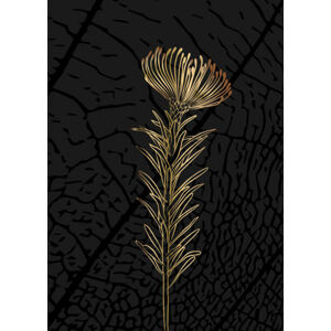 Ilustrace Minimalist botanical illustration. Golden outline of, Elena Makarova, (30 x 40 cm)