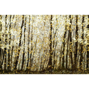 Ilustrace Forest filed with golden autumn leaves, Andrew Bret Wallis, (40 x 26.7 cm)