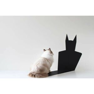 Ilustrace Conceptual ragdoll cat looking at bat shadow, pchyburrs, (40 x 26.7 cm)