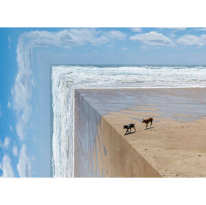 Ilustrace Perspective bending image of two dogs on a beach, ImagePatch, (40 x 30 cm)
