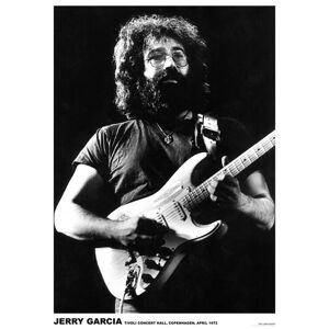 Plakát, Obraz - Grateful Dead / Jerry Garcia - Guitar 1970, (59.4 x 84 cm)