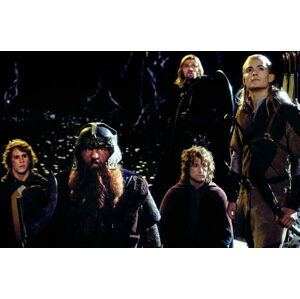 Umělecká fotografie The Fellowship of the Ring, (40 x 26.7 cm)