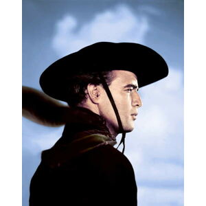 Umělecká fotografie Marlon Brando, (30 x 40 cm)