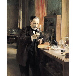 Umělecká fotografie Louis Pasteur in his Laboratory, 1885, Edelfelt, Albert Gustaf Aristides, (35 x 40 cm)