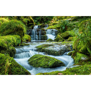 Umělecká fotografie Scenic view of waterfall in forest,Newton, Ian Douglas / 500px, (40 x 26.7 cm)