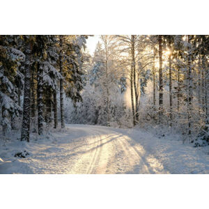 Umělecká fotografie Narrow snowy forest road on a sunny winter day, Schon, (40 x 26.7 cm)