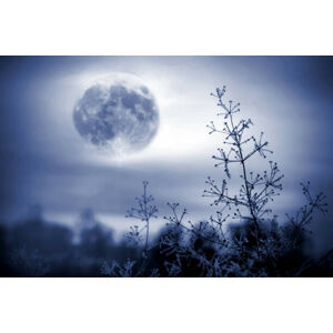 Umělecká fotografie Winter night mystical scenery. Full moon, Elena Kurkutova, (40 x 26.7 cm)