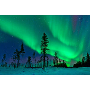Umělecká fotografie Aurora Borealis  Northern Lights Sweden, Dave Moorhouse, (40 x 26.7 cm)