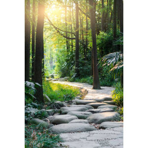 Umělecká fotografie Stone road in magic forest leads to haze of light, MarsYu, (26.7 x 40 cm)