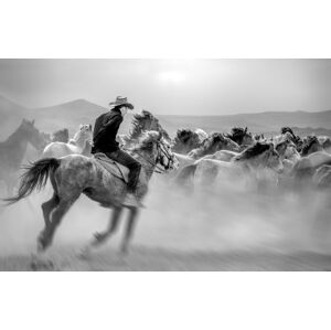 Umělecká fotografie Running Horses, Yabani atlar Mustafa, (40 x 26.7 cm)