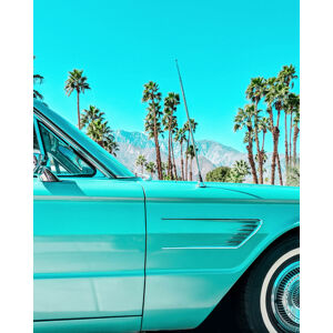 Umělecká fotografie Teal Thunderbird in Palm Springs, Tom Windeknecht, (30 x 40 cm)