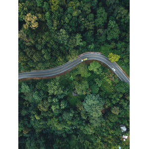 Umělecká fotografie Green road up the mountain in the rainy season, ArtRachen01, (30 x 40 cm)