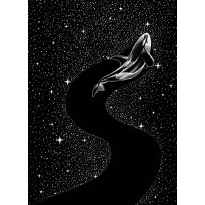 Ilustrace Starry Orca, Aliriza Cakir, (30 x 40 cm)