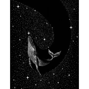 Ilustrace Starry Whale, Aliriza Cakir, (30 x 40 cm)