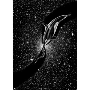 Ilustrace Orca and Diver, Aliriza Cakir, (30 x 40 cm)