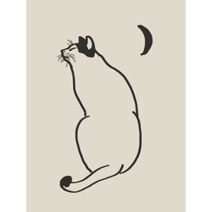 Ilustrace Line Art Cat Drawing, Little Dean, (30 x 40 cm)
