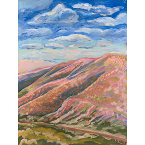Ilustrace Colorful hills, Eleanor Baker, (30 x 40 cm)
