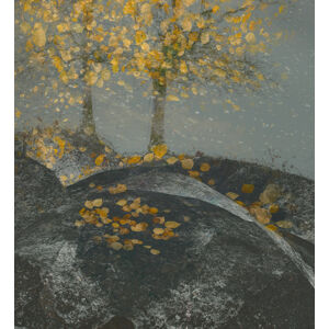 Ilustrace Falling leaves, Nel Talen, (35 x 40 cm)