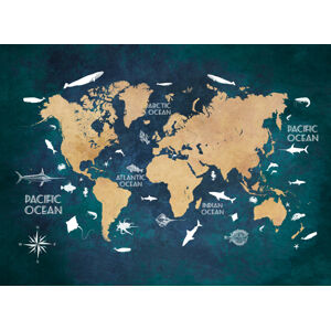 Ilustrace World map 3, Justyna Jaszke, (40 x 30 cm)