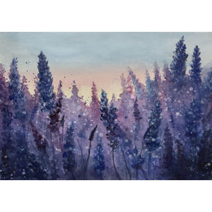 Umělecká fotografie Purple field, Monica Lindblom, (40 x 26.7 cm)