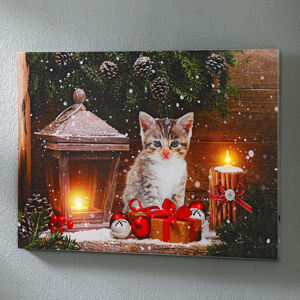 Magnet 3Pagen LED obraz "Kotě s dárkem"