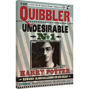 Obraz na plátně Harry Potter - Quibbler, (60 x 80 cm)