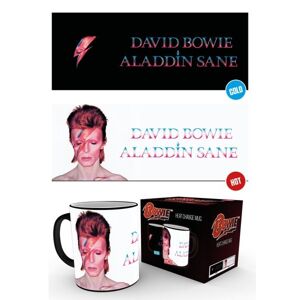 Měnící hrnek David Bowie - Aladdin Sane