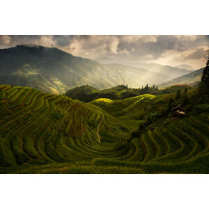 Umělecká fotografie A Tuscan Feel in China, Max	Witjes, (40 x 26.7 cm)