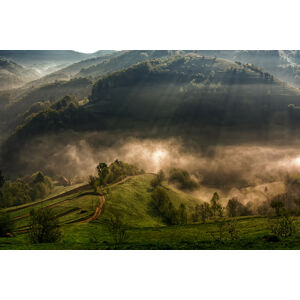 Umělecká fotografie Morning fog, Mihail	Dulu, (40 x 26.7 cm)