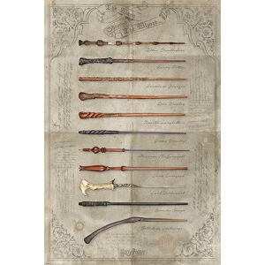Plakát, Obraz - Harry Potter - The Wand Chooses The Wizard, (61 x 91 cm)