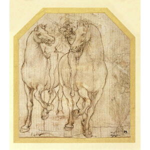 Leonardo da Vinci - Obrazová reprodukce Study of Horses and Riders, c.1480, (35 x 40 cm)