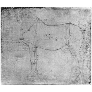 Leonardo da Vinci - Obrazová reprodukce Study of a Horse (metal point on paper), (40 x 35 cm)
