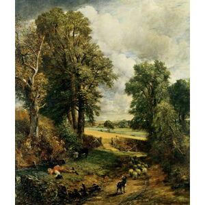 Obrazová reprodukce The Cornfield (1826), John Constable, 30 × 40 cm