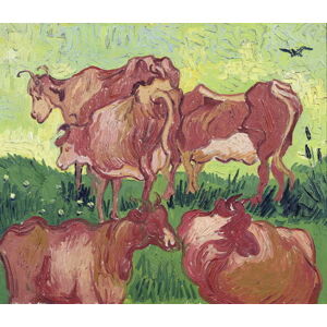 Vincent van Gogh - Obrazová reprodukce Cows, 1890, (40 x 35 cm)