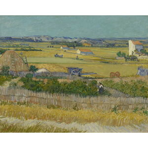Vincent van Gogh - Obrazová reprodukce The Harvest, 1888, (40 x 30 cm)