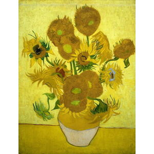 Vincent van Gogh - Obrazová reprodukce Vincent van Gogh - Slunečnice, (30 x 40 cm)