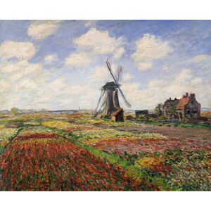 Claude Monet - Obrazová reprodukce Tulip Fields with the Rijnsburg Windmill, 1886, (40 x 35 cm)