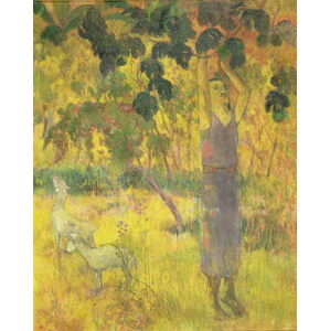 Paul Gauguin - Obrazová reprodukce Man Picking Fruit from a Tree, 1897, (30 x 40 cm)