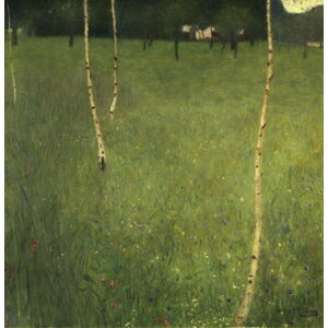Gustav Klimt - Obrazová reprodukce Farmhouse with Birch Trees, 1900, (40 x 40 cm)